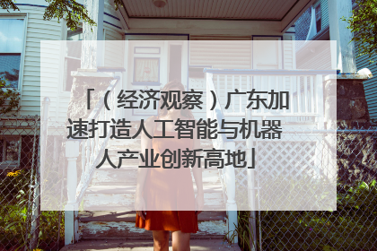（经济观察）广东加速打造人工智能与机器人产业创新高地