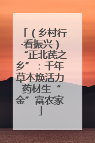 （乡村行·看振兴）“正北芪之乡”：千年草本焕活力 药材生“金”富农家