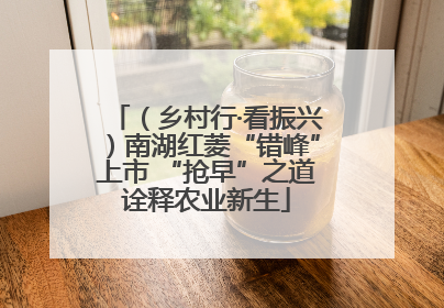 （乡村行·看振兴）南湖红菱“错峰”上市 “抢早”之道诠释农业新生