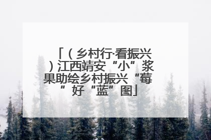 （乡村行·看振兴）江西靖安“小”浆果助绘乡村振兴“莓”好“蓝”图