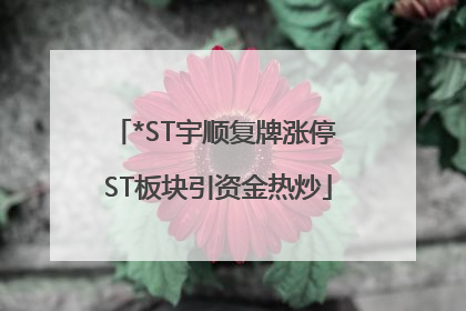 *ST宇顺复牌涨停 ST板块引资金热炒
