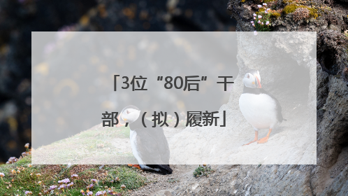 3位“80后”干部，（拟）履新