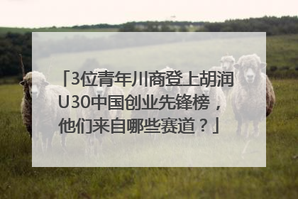 3位青年川商登上胡润U30中国创业先锋榜，他们来自哪些赛道？