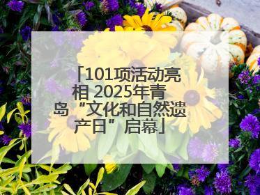 101项活动亮相 2025年青岛“文化和自然遗产日”启幕