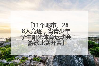 11个地市、288人竞逐，省青少年学生阳光体育运动会游泳比赛开赛