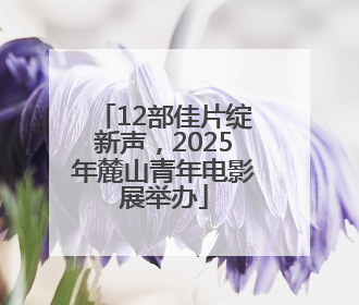 12部佳片绽新声，2025年麓山青年电影展举办