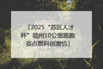 2025“苏区人才杯”赣州10公里路跑赛点燃科创激情
