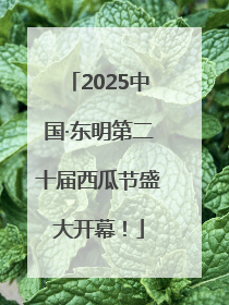 2025中国·东明第二十届西瓜节盛大开幕！