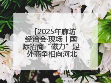 2025年廊坊经洽会·现场丨国际招商“磁力”足 外商争相向河北推介项目