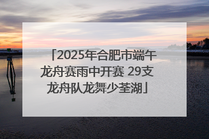 2025年合肥市端午龙舟赛雨中开赛 29支龙舟队龙舞少荃湖