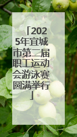 2025年宜城市第二届职工运动会游泳赛圆满举行