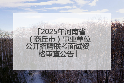 2025年河南省（商丘市）事业单位公开招聘联考面试资格审查公告