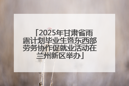 2025年甘肃省雨露计划毕业生暨东西部劳务协作促就业活动在兰州新区举办