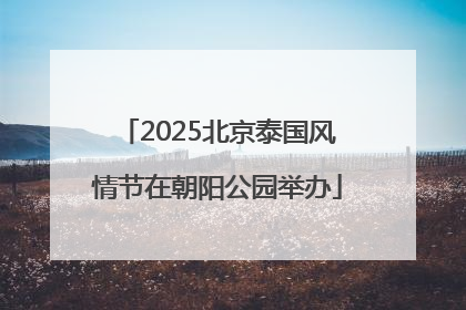 2025北京泰国风情节在朝阳公园举办