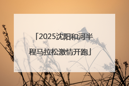 2025沈阳和河半程马拉松激情开跑