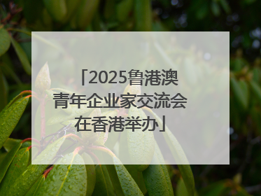 2025鲁港澳青年企业家交流会在香港举办