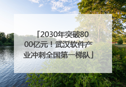 2030年突破8000亿元！武汉软件产业冲刺全国第一梯队
