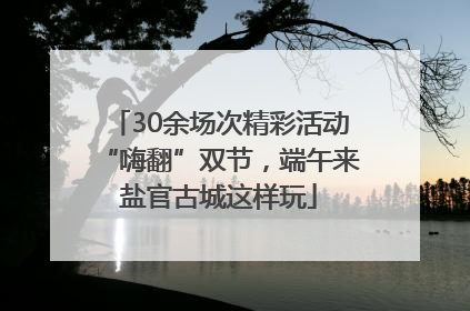 30余场次精彩活动“嗨翻”双节，端午来盐官古城这样玩