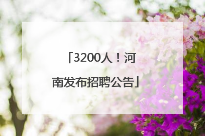 3200人！河南发布招聘公告