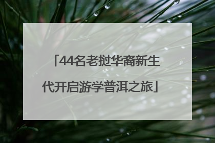 44名老挝华裔新生代开启游学普洱之旅