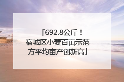 692.8公斤！宿城区小麦百亩示范方平均亩产创新高