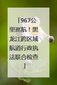 967公里巡航！黑龙江跨区域航道行政执法联合检查
