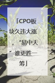 CPO板块久违大涨，“易中天”谁更胜一筹