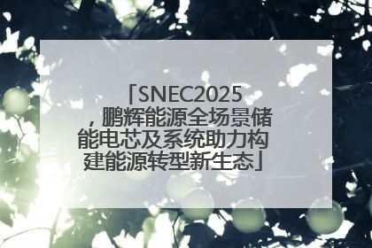 SNEC2025，鹏辉能源全场景储能电芯及系统助力构建能源转型新生态