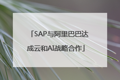 SAP与阿里巴巴达成云和AI战略合作